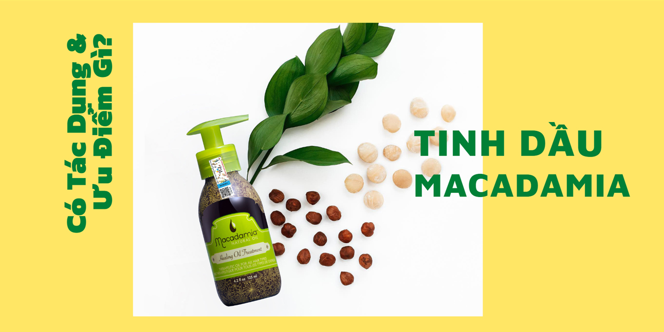 Tinh dầu Macadamia và những tác dụng cứu tinh cho mái tóc